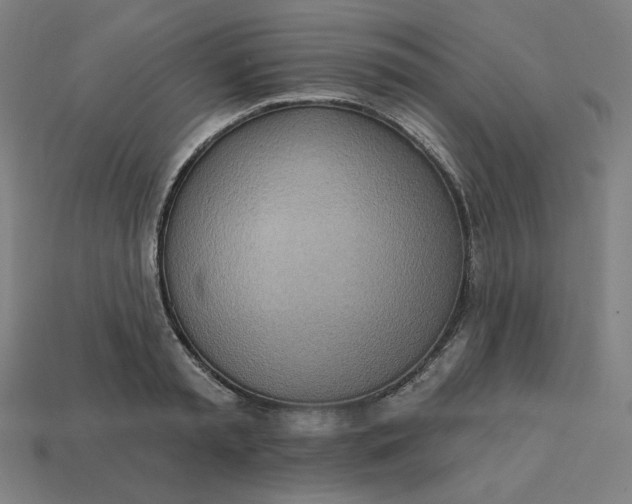 X0000113360797200910061039