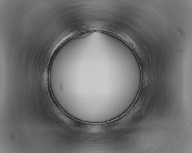 X0000113360798200910061039