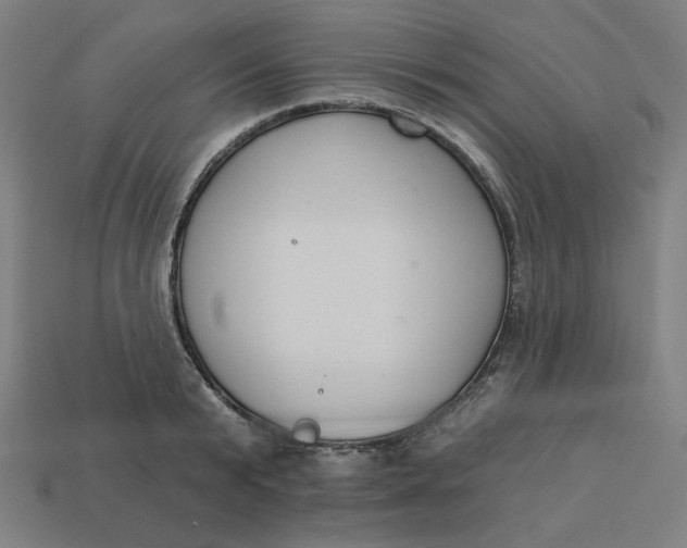 X0000113360799200910061039