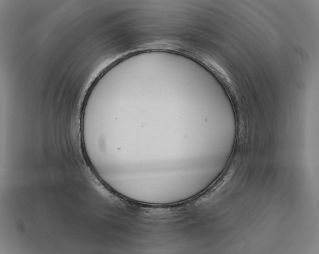 X0000113360800200910061039