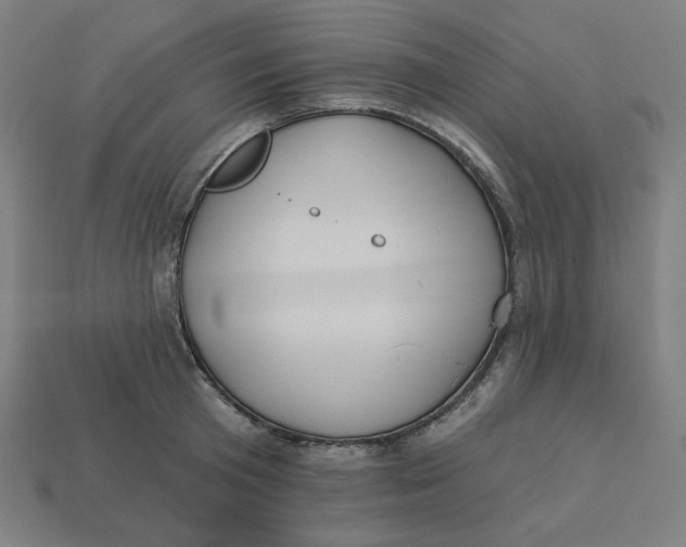 X0000113360801200910061039