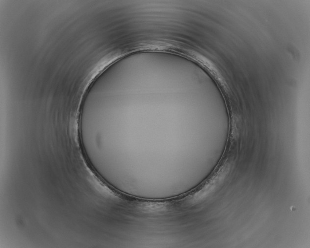 X0000113360802200910061039