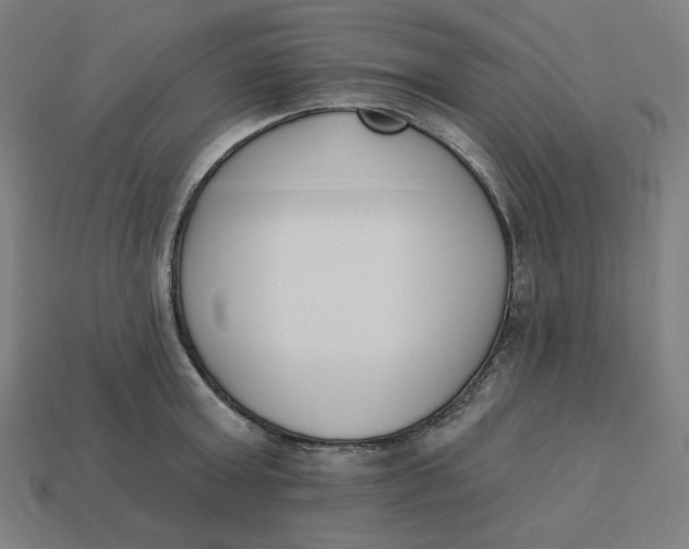 X0000113360803200910061039