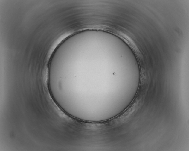 X0000113360804200910061039