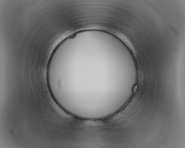 X0000113360805200910061039