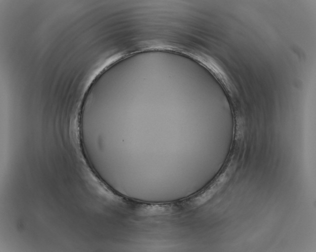 X0000113360806200910061039