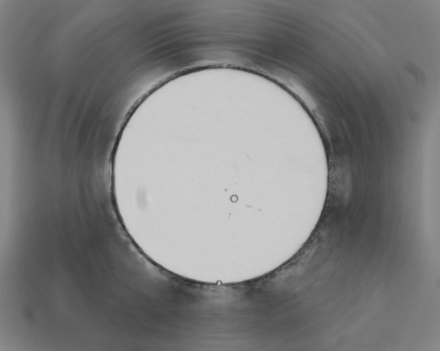 X0000113360807200910061039