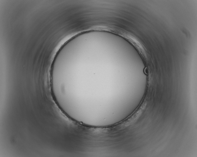 X0000113360808200910061039