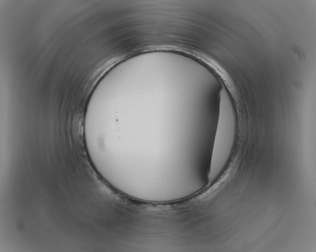 X0000113360809200910061039