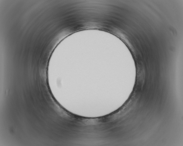 X0000113360810200910061039