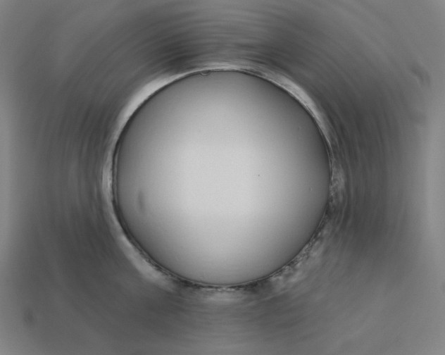 X0000113360811200910061039