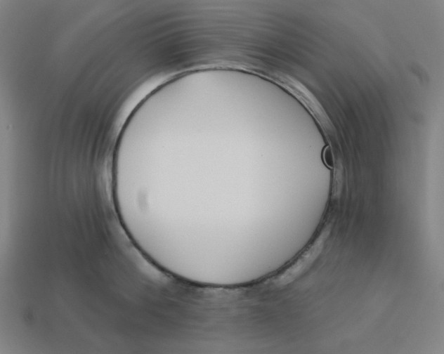 X0000113360812200910061039