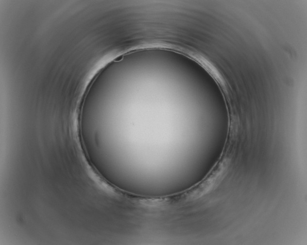 X0000113360813200910061039