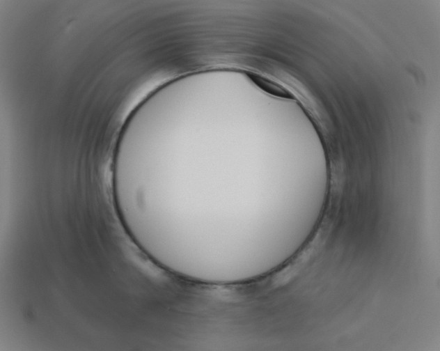 X0000113360814200910061039