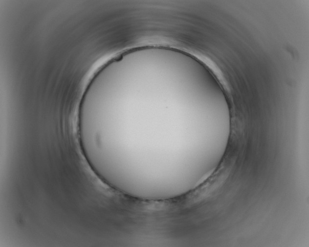 X0000113360815200910061039