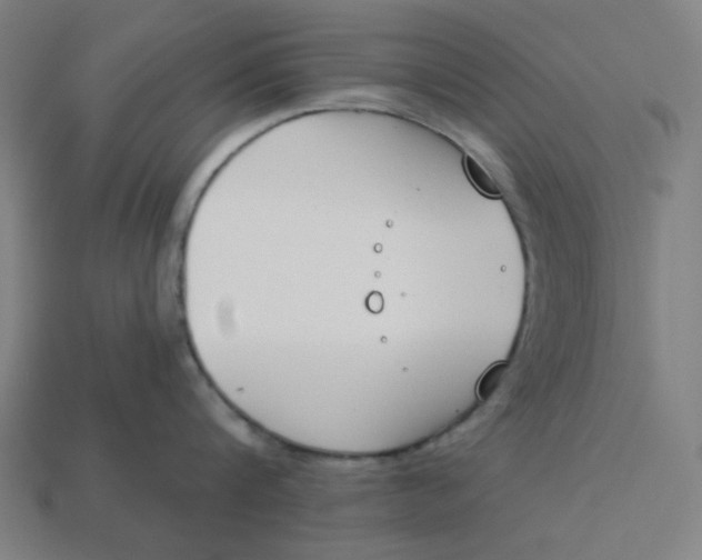 X0000113360816200910061039