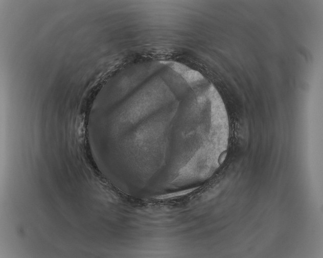 X0000113360818200910061038