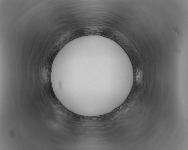 X0000113360819200910061038