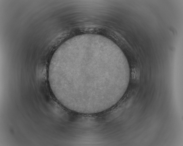 X0000113360820200910061038