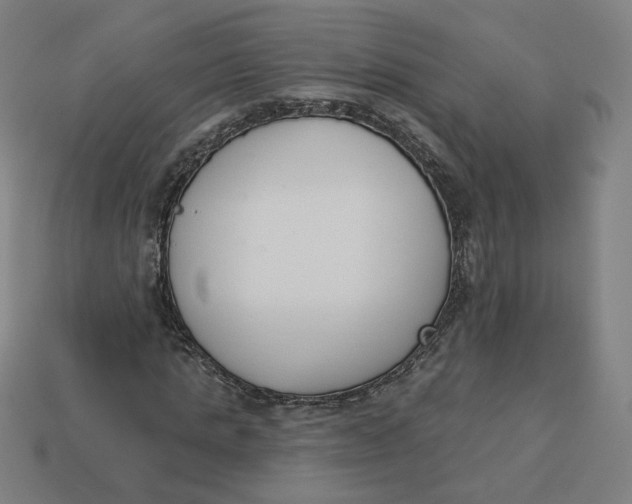 X0000113360821200910061038