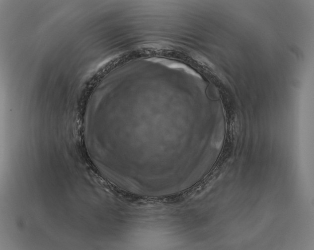 X0000113360822200910061038