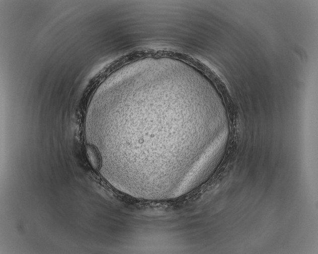 X0000113360823200910061038