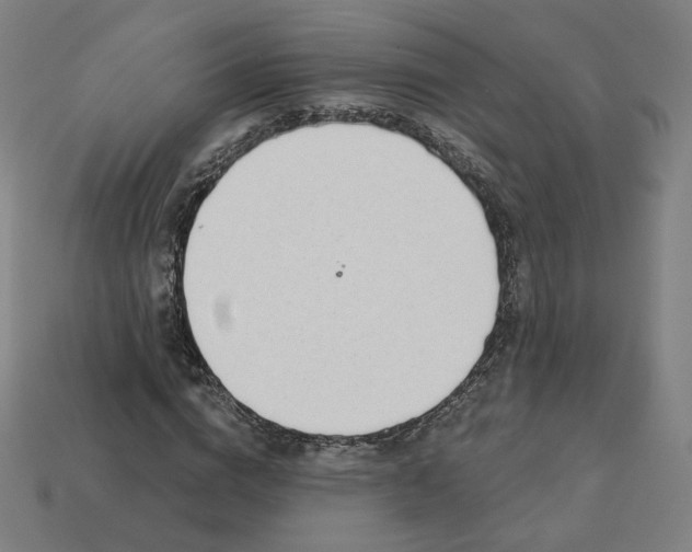 X0000113360824200910061038