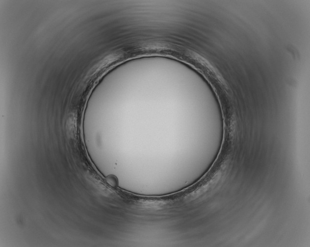 X0000113360825200910061038