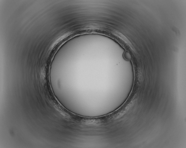 X0000113360826200910061038