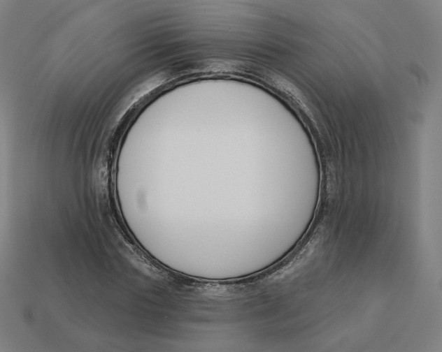 X0000113360827200910061038