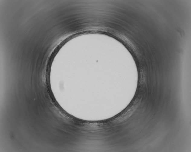 X0000113360828200910061038