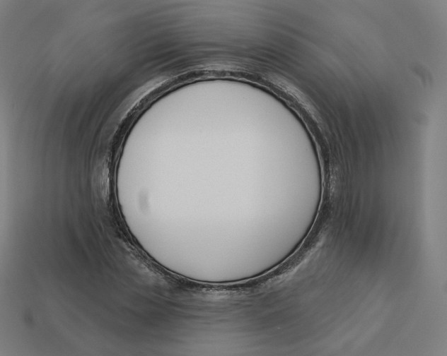 X0000113360829200910061038