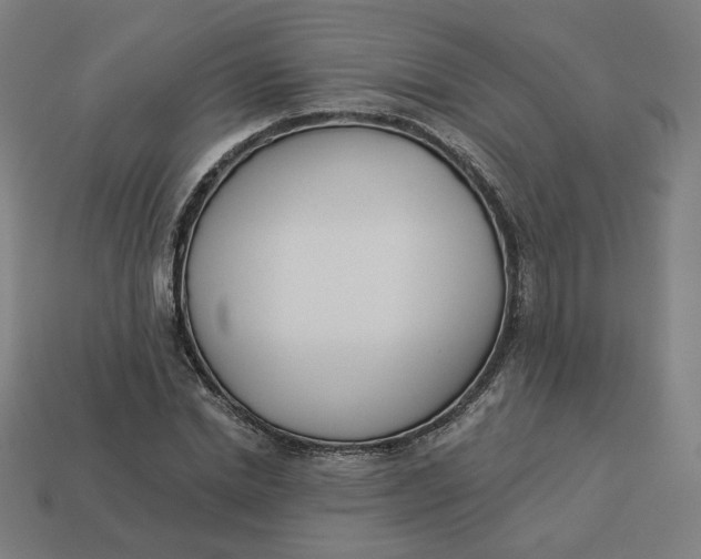 X0000113360830200910061038