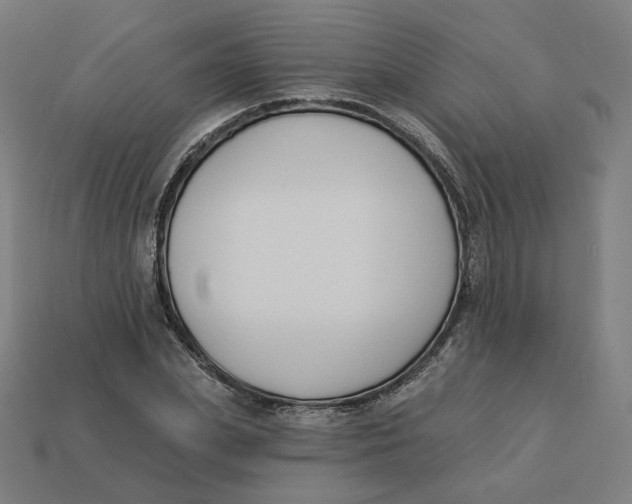 X0000113360831200910061038