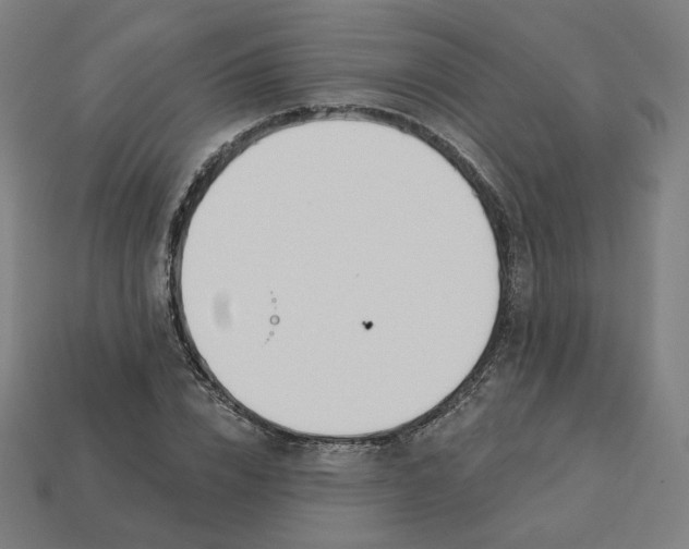 X0000113360832200910061038