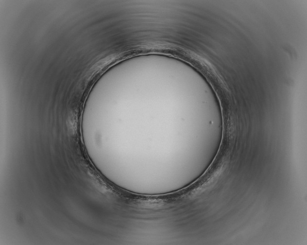 X0000113360833200910061038