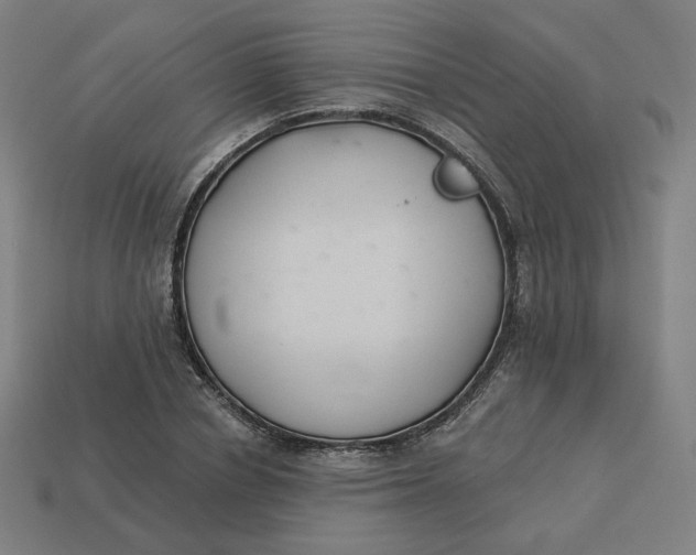 X0000113360834200910061038