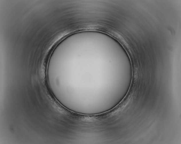 X0000113360835200910061038