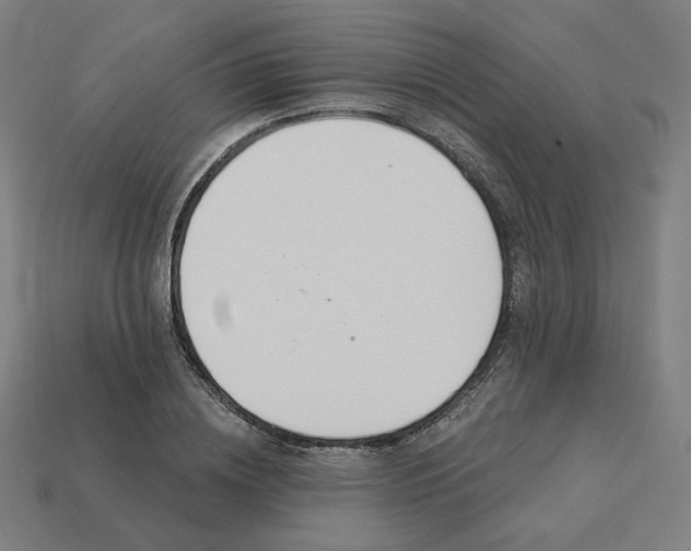 X0000113360836200910061038