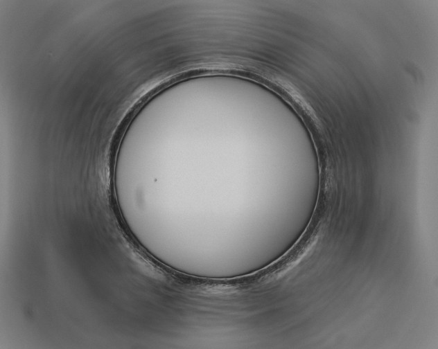 X0000113360837200910061038