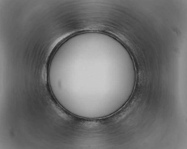 X0000113360838200910061038