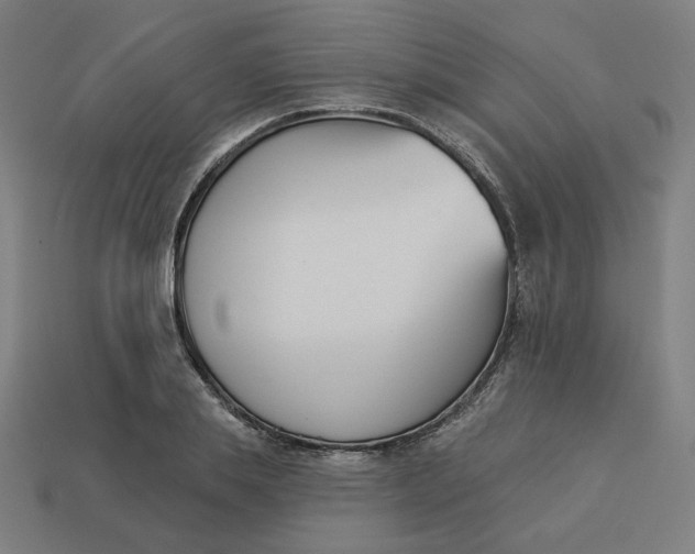 X0000113360839200910061038