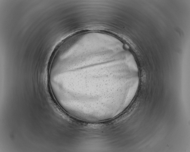 X0000113360840200910061038