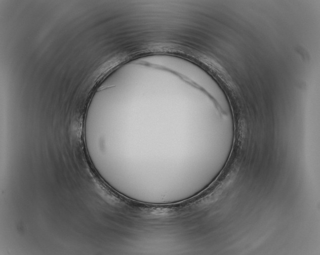 X0000113360841200910061038