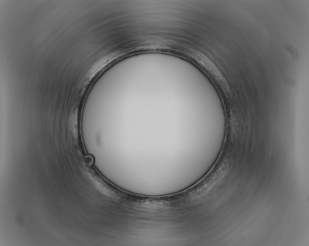 X0000113360842200910061038