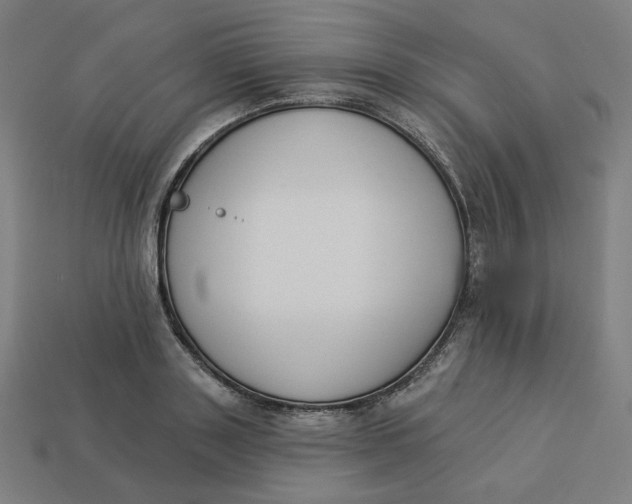 X0000113360843200910061038