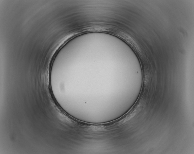 X0000113360844200910061038