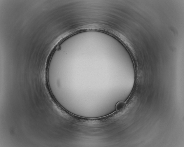 X0000113360845200910061038