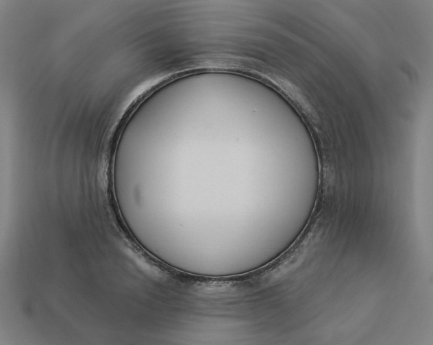 X0000113360846200910061038