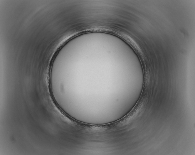 X0000113360847200910061038